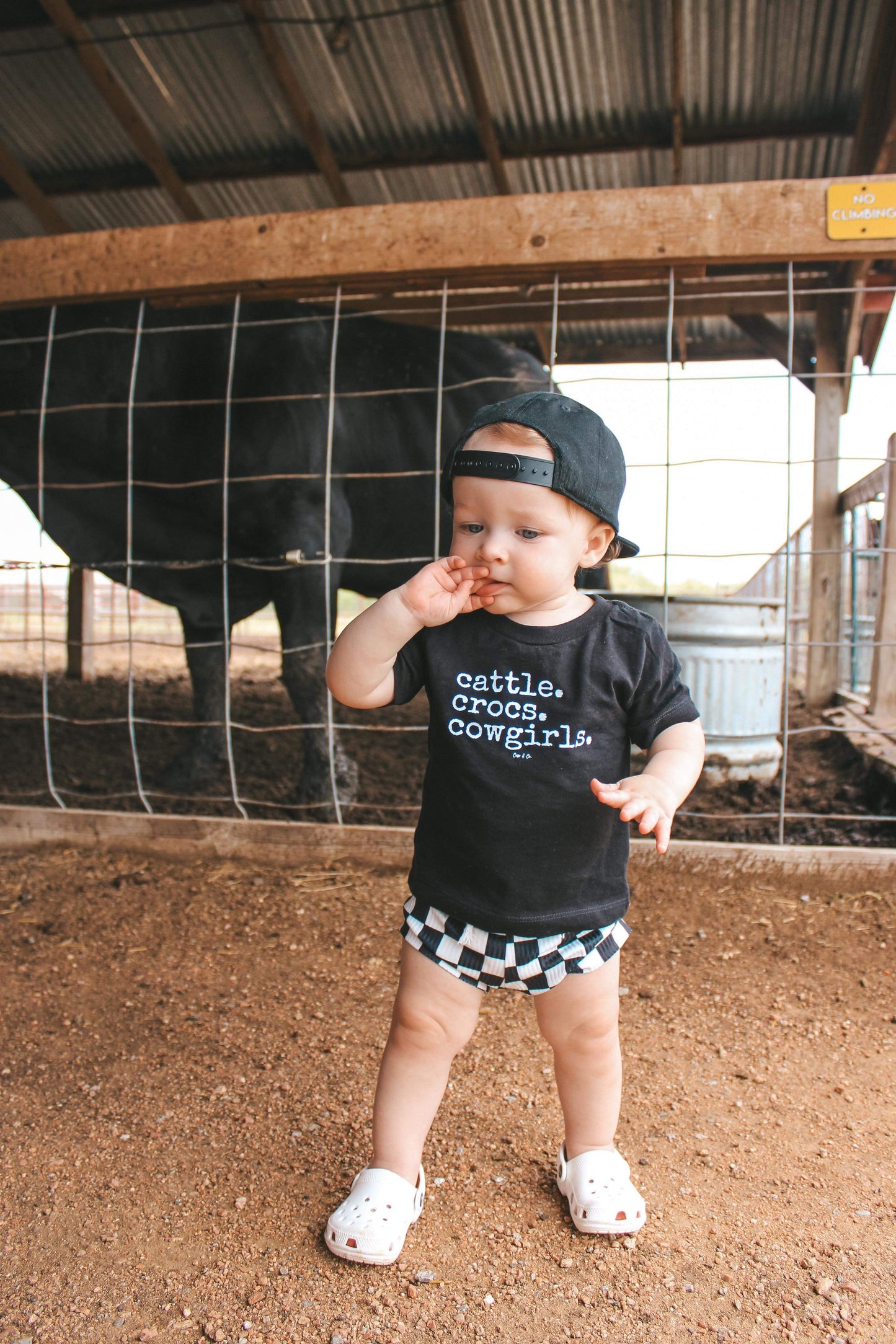 Cattle. Crocs. Cowgirls/Cowboys